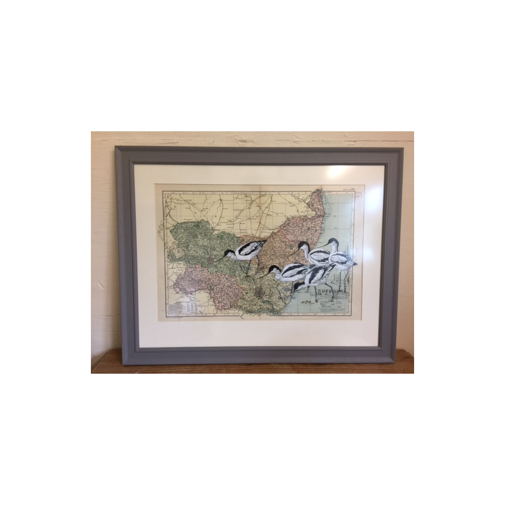 birds-avocets-suffolk