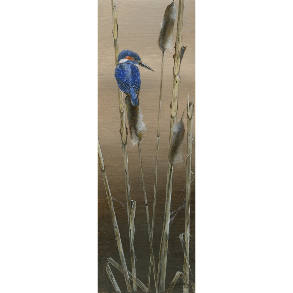 birds-fine-art-prints-kingfisher-twilight-suzanne-perry-art-119_1186061228