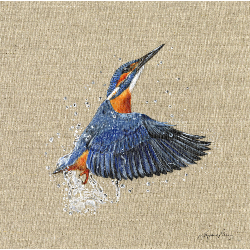 kingfisher_on_canvas_-_splash_-_322_667734549