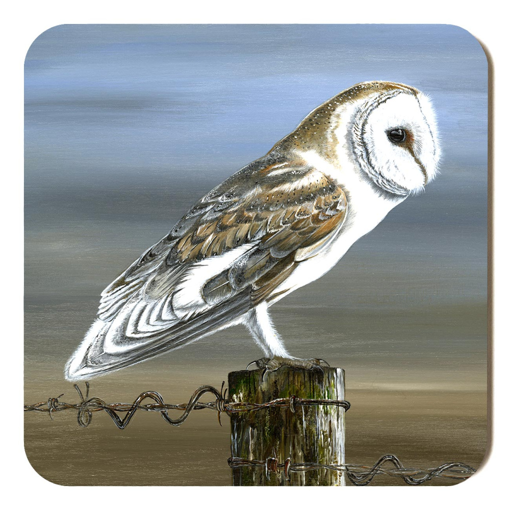 v2_birds-of-prey-barbed-beauty-2-spart-419_coaster_sized_orchard-copy
