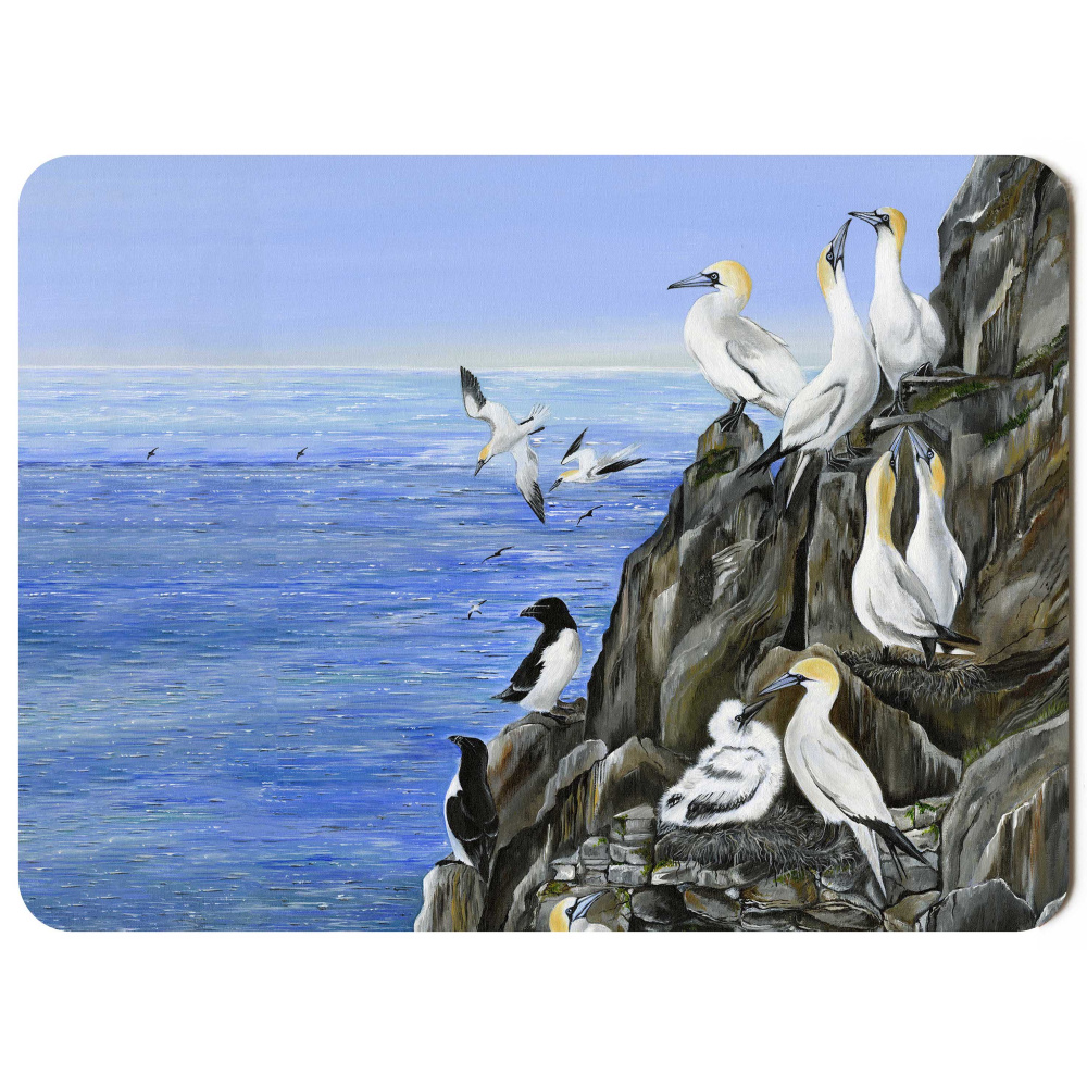 v2_water-and-coastal-company-of-gannets-sp-art-421_placemat_sized_copy_orchard_344440351
