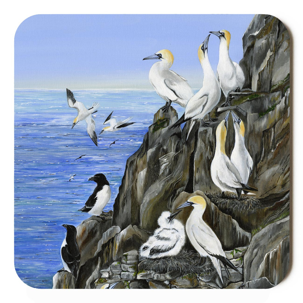 water-and-coastal-company-of-gannets-sp-art-421_orchard_coaster_sized_copy
