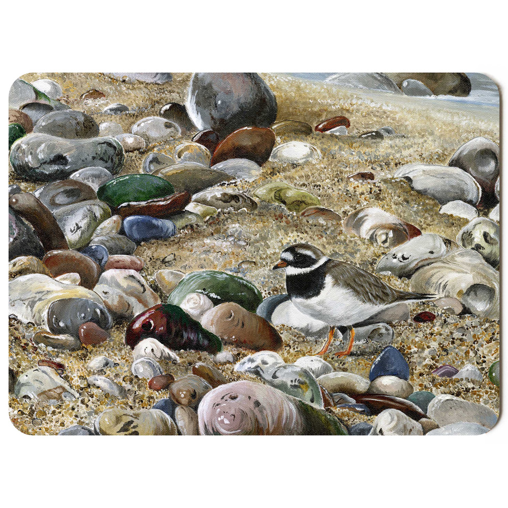 water-and-coastal-ringed-plover-spart-422_placemat_sized_copy_ringed_plover_1134309020