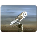 birds-of-prey-barbed-beauty-2-spart-419_placemat_sized_copy_orchard_1790820871