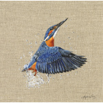 kingfisher_on_canvas_-_splash_-_322_667734549