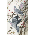 woodland-birds-paintings-pigeons-crop-full-of-berries-suzanne-perry-art-163